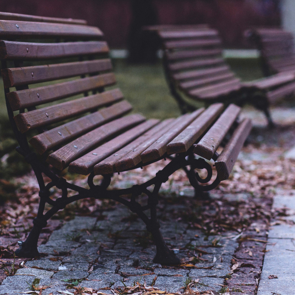 Bancos de madera y forja en un parque