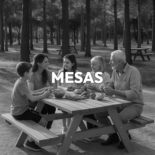 Una mesa de madera con bancos en un pinar y alrededor una familia comiendo en blanco y negro