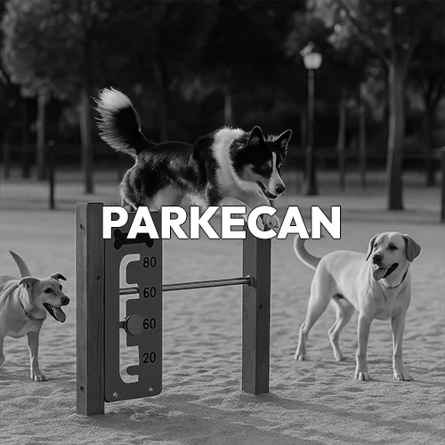 Elementos para un parkecan con tres perros usándolos en blanco y negro