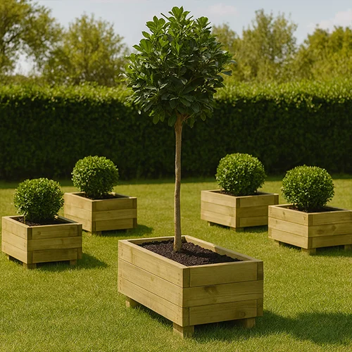 Madera de exterior, maceteros grandes con árboles